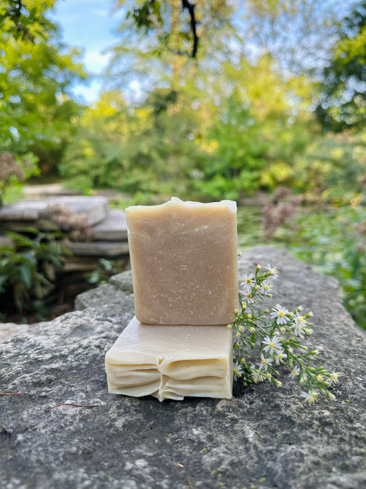 Forest Renewal | Detoxifying Matcha + Charcoal Botanical Soap Bar