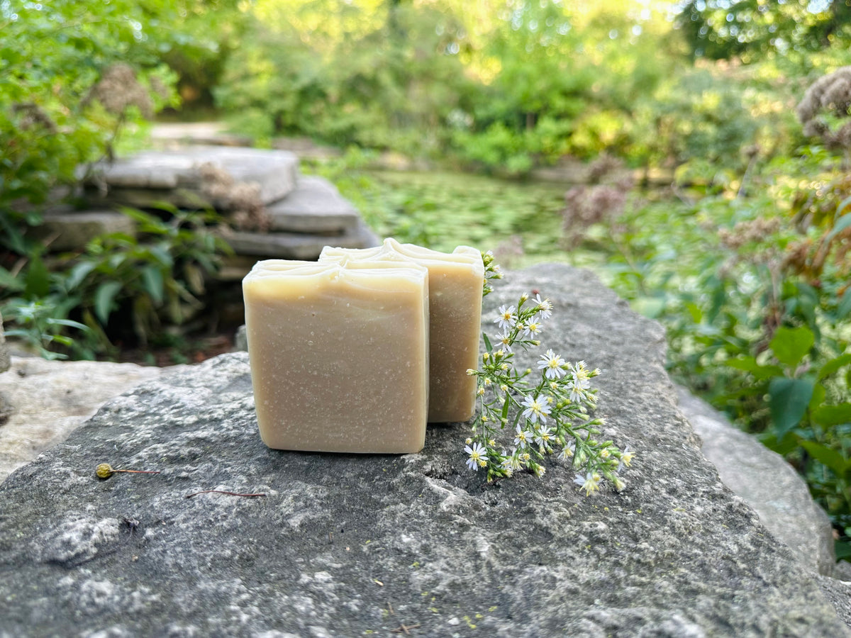 Forest Renewal | Detoxifying Matcha + Charcoal Botanical Soap Bar