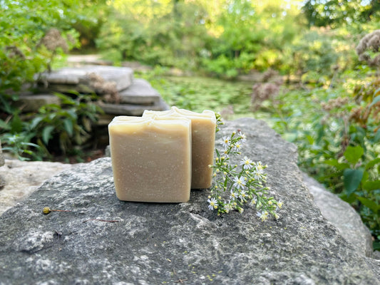 Forest Renewal | Detoxifying Matcha + Charcoal Botanical Soap Bar